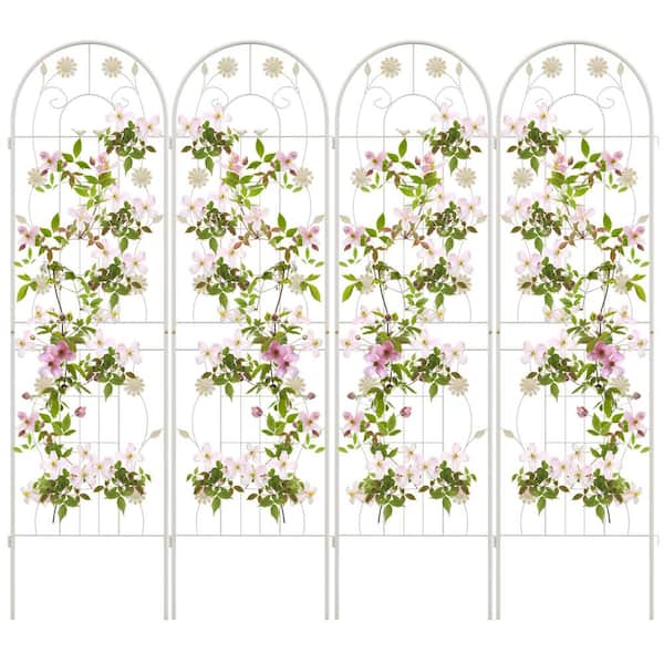 71 in. x 20 in. Metal Garden Trellis for Climbing Plants in White (4-Pack)