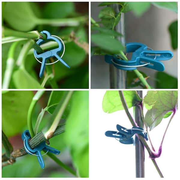 Plant Climbing Wall Clips, Invisible Plant Clips for Climbing