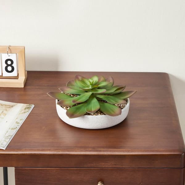 Unbranded Artificial Rosette Echeveria Succulent in Ceramic Bowl