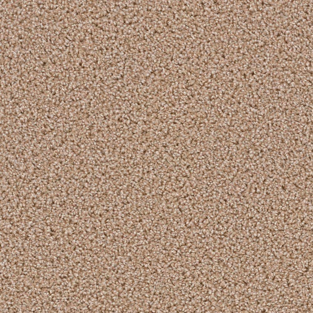 8 in. x  8 in. Texture Carpet Sample - Happy Chance -Color Carefree price history on PriceWatchPro
