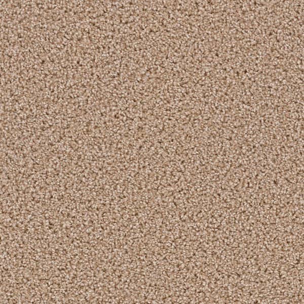 TrafficMaster Happy Chance  - Carefree - Beige 30 oz. SD Polyester Texture Installed Carpet