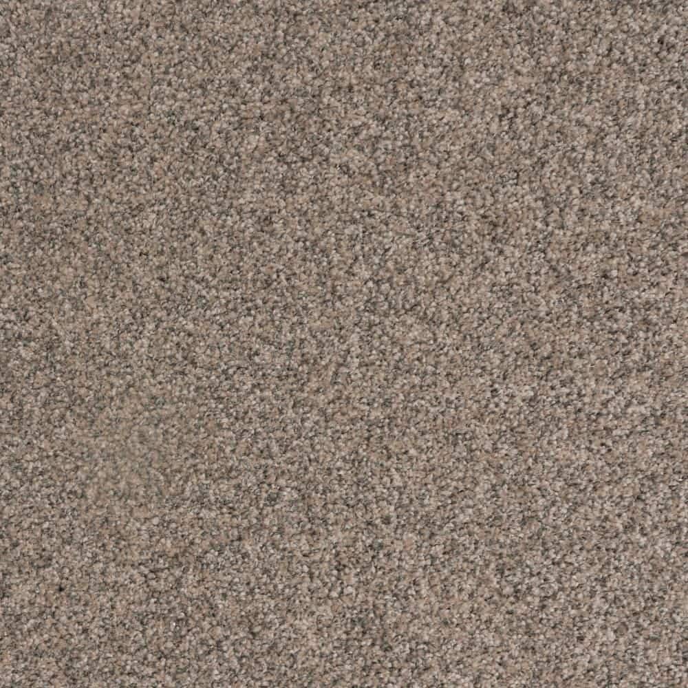 8 in. x 8 in. Texture Carpet Sample-Lurelin-Color Velvet price history on PriceWatchPro