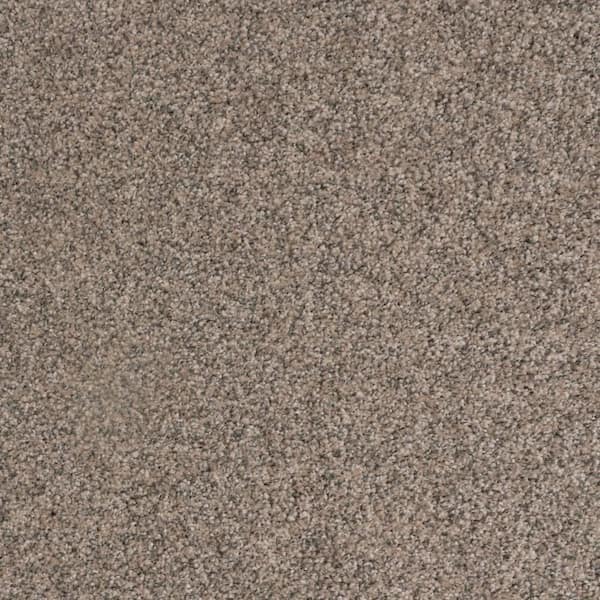 8 in. x 8 in. Texture Carpet Sample-Lurelin-Color Velvet