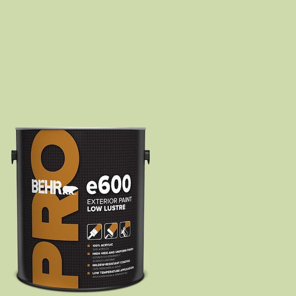 BEHR PRO 1 gal. #P370-3 Chameleon Skin Low Luster Exterior Paint