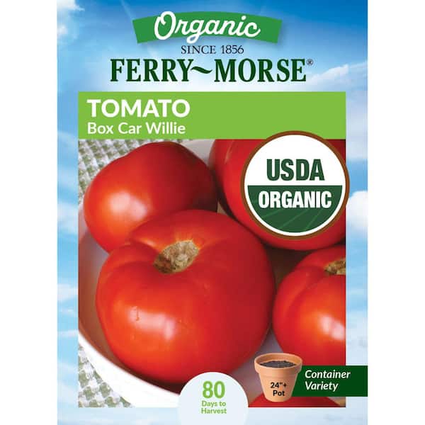 Organic Tomato Box Car Willie Heirloom Fruit Seeds