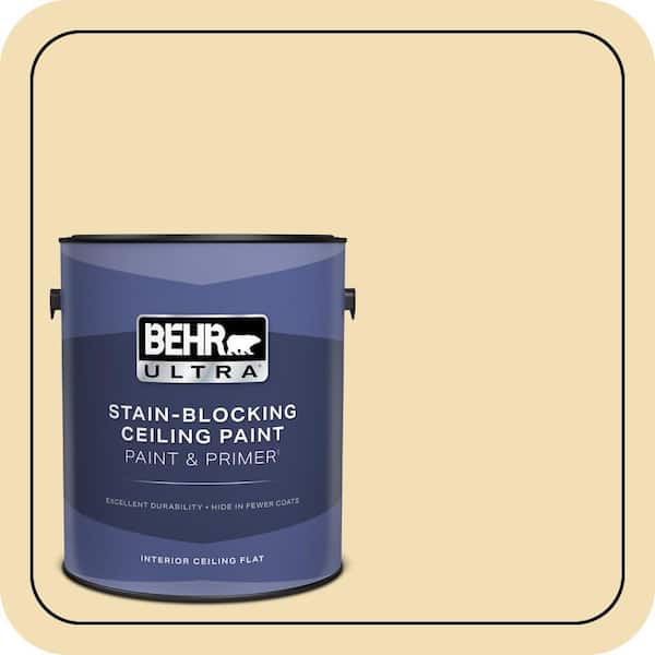 1 gal. #PPU6-12 Calla Ceiling Flat Interior Paint & Primer