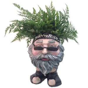 13 in. H Biker Dude Painted Muggly Face Planter in Motorcycle Attire Statue Holds 4 in. Pot