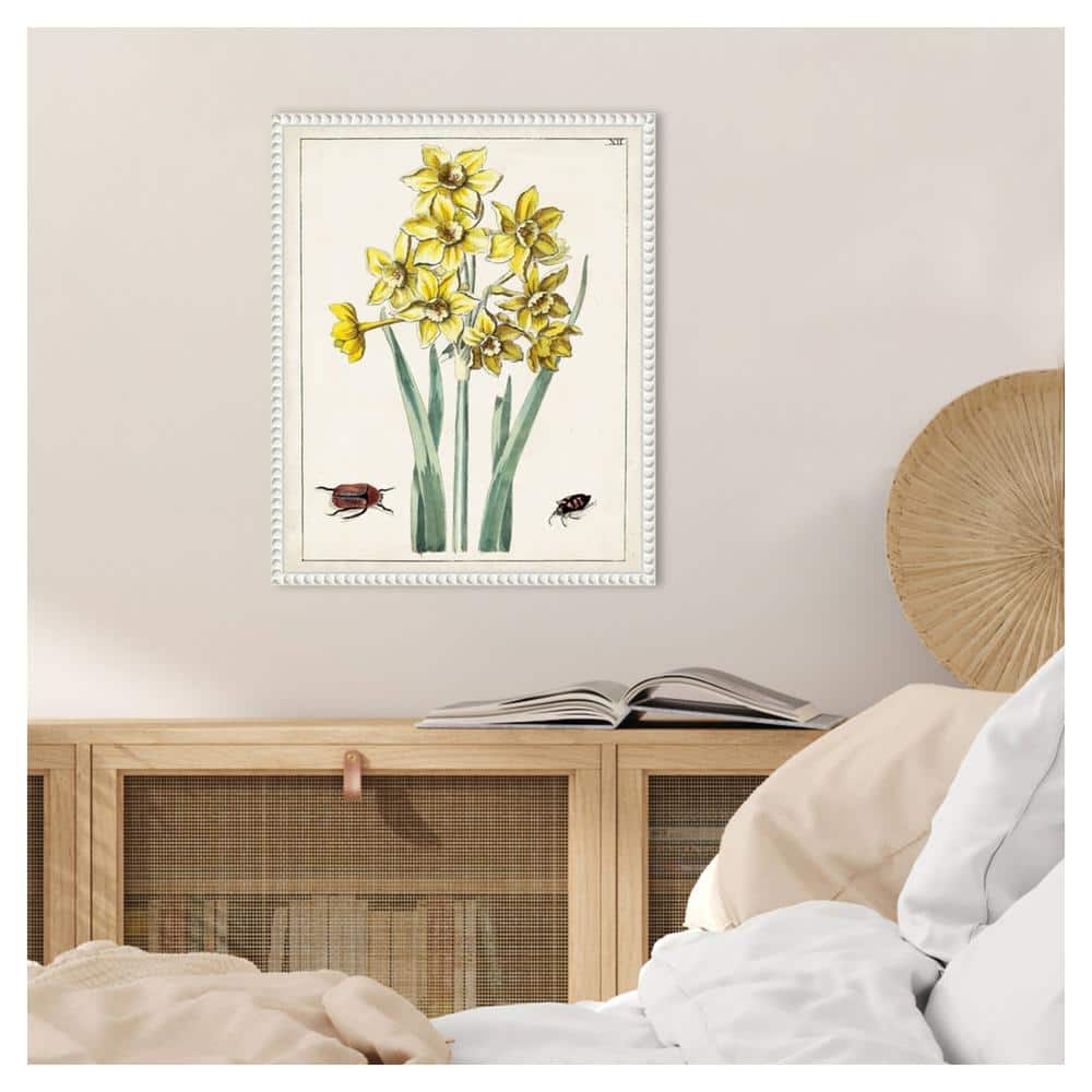 Dutch Florals III Yellow Daffodils Canvas Print with White Frame