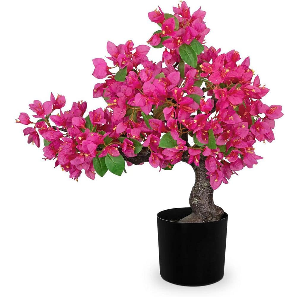20.8 in. Artificial Bougainvillea Bonsai in Black Pot, Hot Pink