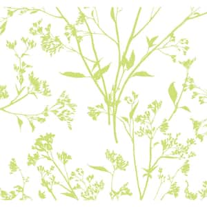 Southport Chartreuse Delicate Branches Wallpaper Sample