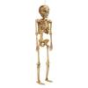 6 hot ft Poseable Skeleton Creeper from Home Depot Halloween