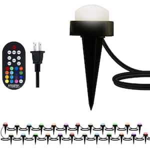 Plug-In Black LED Color Changing Path Light with 2 ft. Spacing (2-Pack)