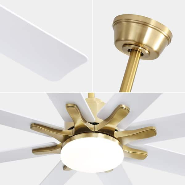 Sofucor 66 in. LED Indoor/Outdoor Gold Smart Ceiling Fan with