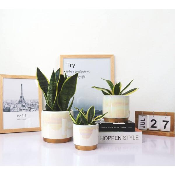 OGETFUUR 3-Pack Indoor Ceramic Planter with Drainage Hole