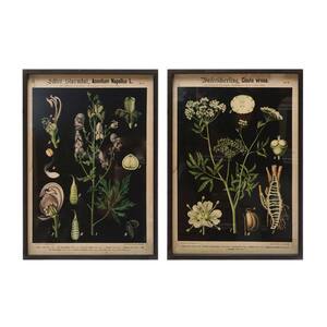 Wood Framed Botanical Wall Decor 22 in. H x 15.75 in. (Set of 2)