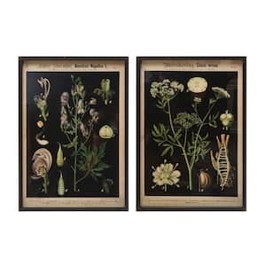 2 Piece Framed Nature Botanical Wall Art Print 22 in. x 15.75 in.