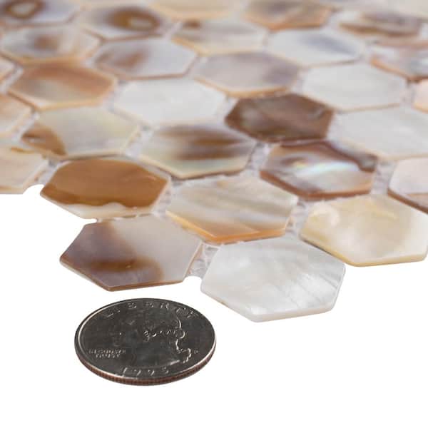 Merola Tile Conchella Hex Natural 11-1/2 in. x 11-5/8 in