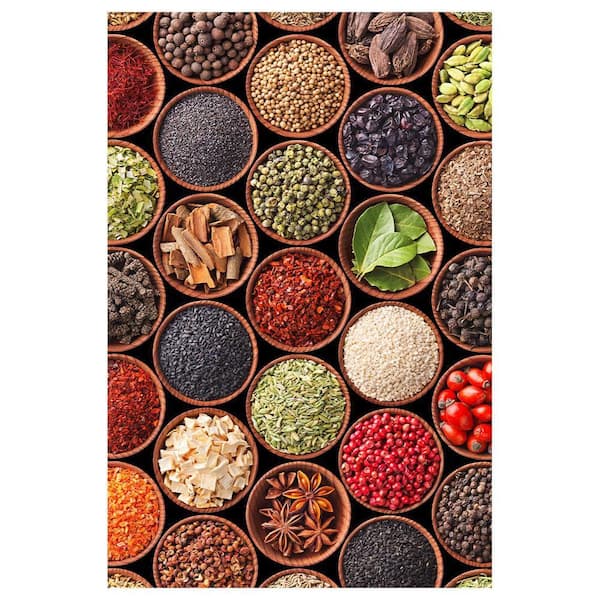VENICE BEACH Collections Colorful Spices by Unknown 1 Piece Unframed Canvas Drawing Print 16 in. x 20 in.