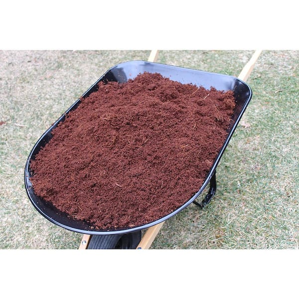 ZeeDix 10 Pcs Premium Coconut Coir Compressed Coco Coir 100% Organic Coco  Coir Brick Coconut Coir Bricks with Low EC and pH Balance for Plants  Gardening Herbs - Yahoo Shopping