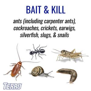 How to Get Rid of Carpenter Ants