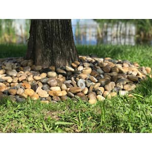 0.5 in. to 1.5 in., 2200 lb. Small Mixed Grade A Polished Pebbles Super Sack