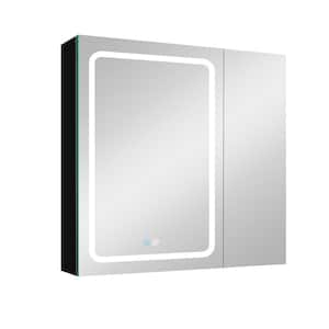 30 in. W x 30 in. H Rectangular Aluminum Medicine Cabinet with Mirror