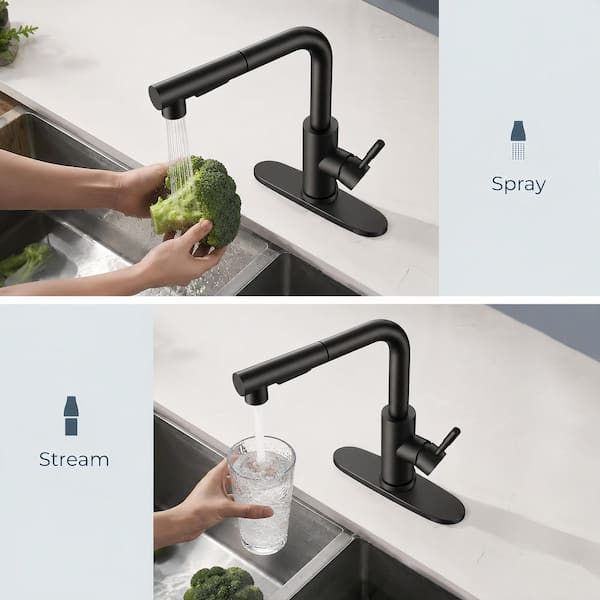 Single Handle Pull Out Sprayer Kitchen Faucet with 360° Spout Swivel in Matte Black, Stainless Steel