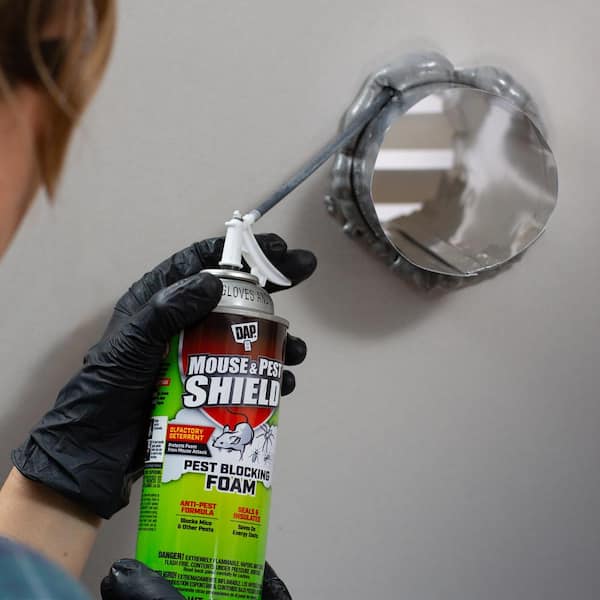 DAP Mouse & Pest Shield 12 oz. Spray Foam 7565012520 - The Home Depot