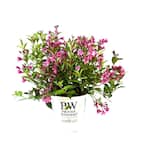 bloom  $_12.JPG?set_id=880000500F