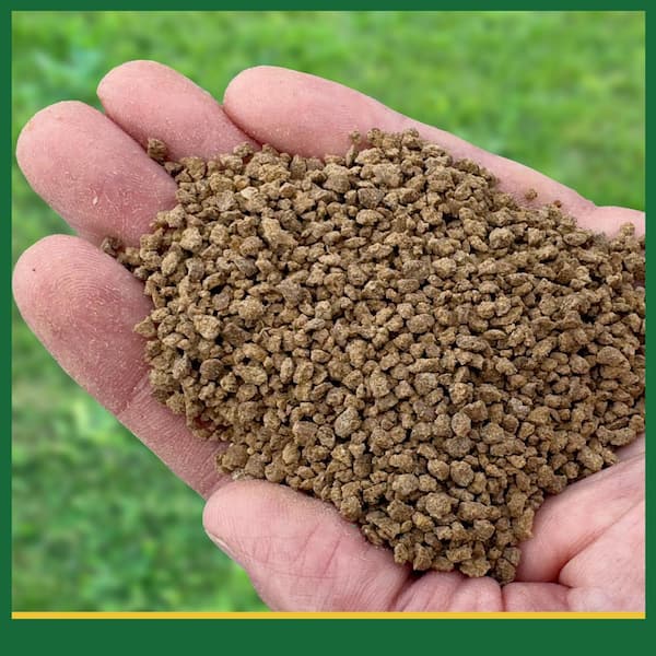 Espoma Plant Tone 8 lb. Organic All Purpose Plant Food 5-3-3 100047163