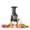 Omega Mega Mouth Silver Compact Masticating Vertical Juicer MMV700S - The Home  Depot