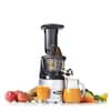 Omega Mega Mouth Silver Compact Masticating Vertical Juicer MMV700S ...