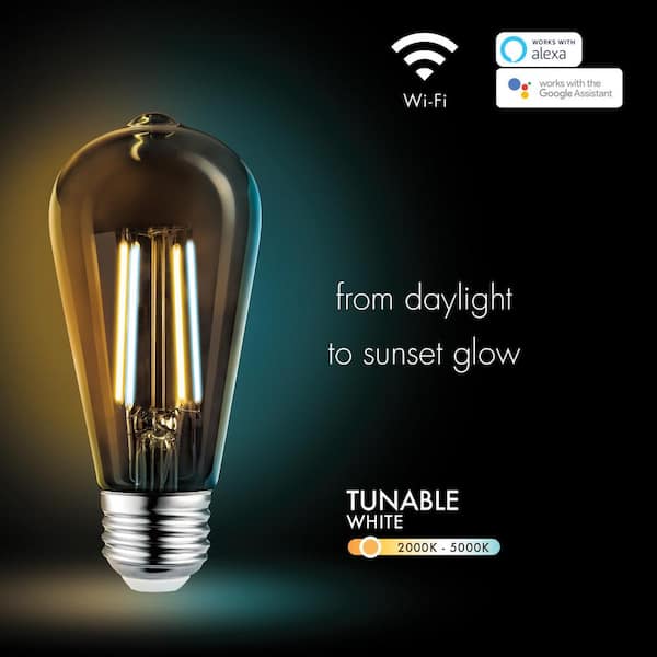 Globe Electric 60-Watt Equivalent Wi-Fi Smart A19 Vintage Edison Filament Tunable White LED Light Bulb
