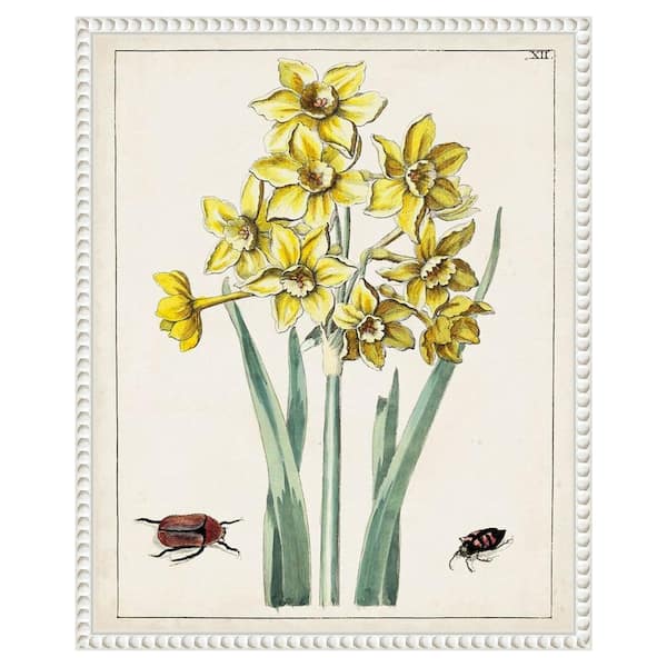 Amanti Art Dutch Florals III 16 in. W x 20 in. H. Canvas Wall Art Print Framed in White
