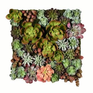 16.5 in. Multi-Colored Artificial Succulent Wall Arrangement on Plaque