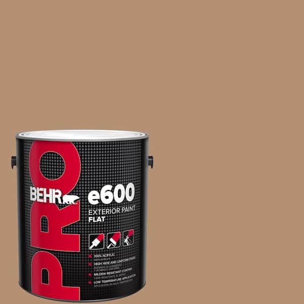 1 gal. #S240-5 Poncho Flat Exterior Paint