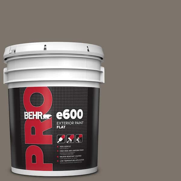 BEHR PRO 5 gal. #MQ2-58 Unpredictable Hue Flat Exterior Paint