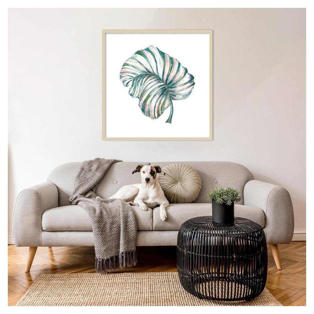 Island Leaf III Svelte Natural Framed Graphic Art Print