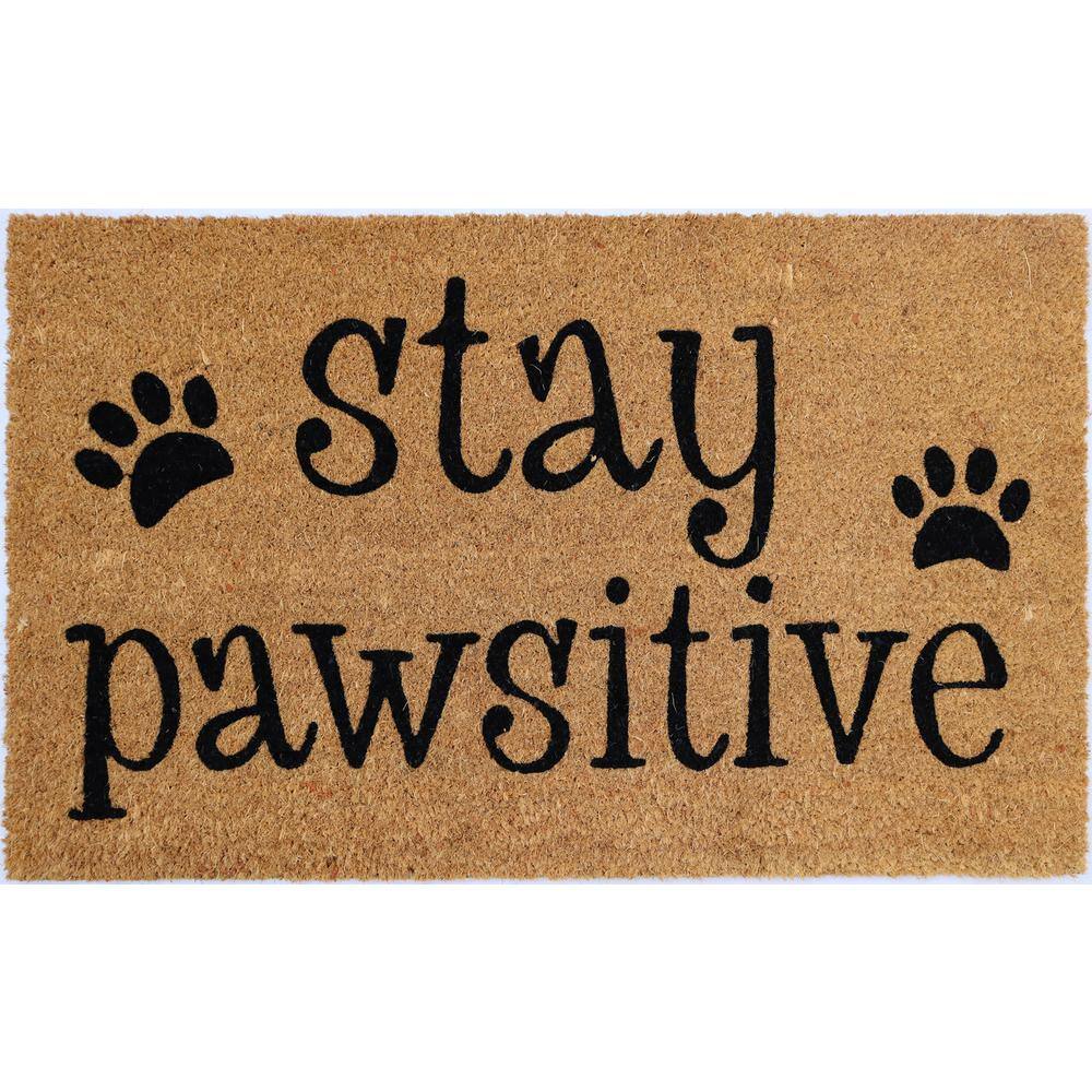 Vinyl Back Stay Pawsitive 30 in. x 18 in. Coir Door Mat price history on PriceWatchPro