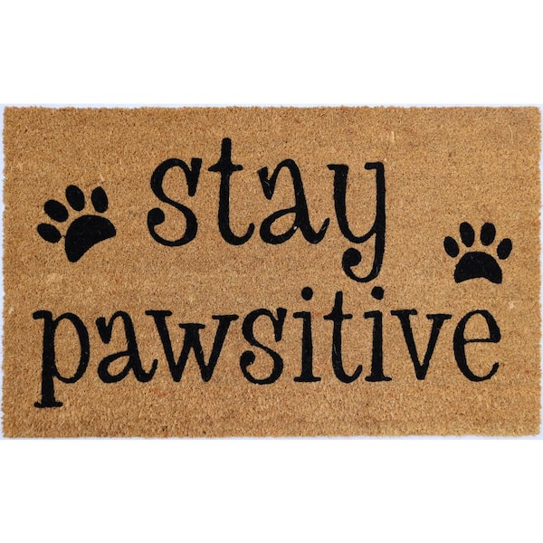 Imports Décor Vinyl Back Stay Pawsitive 30 in. x 18 in. Coir Door Mat