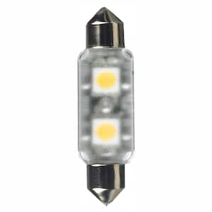 12-Volt LED Frosted Festoon Lamp (2700K)