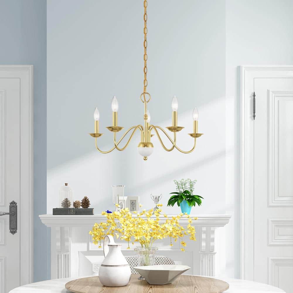 Polished Brass 5-Light Candelabra Chandelier