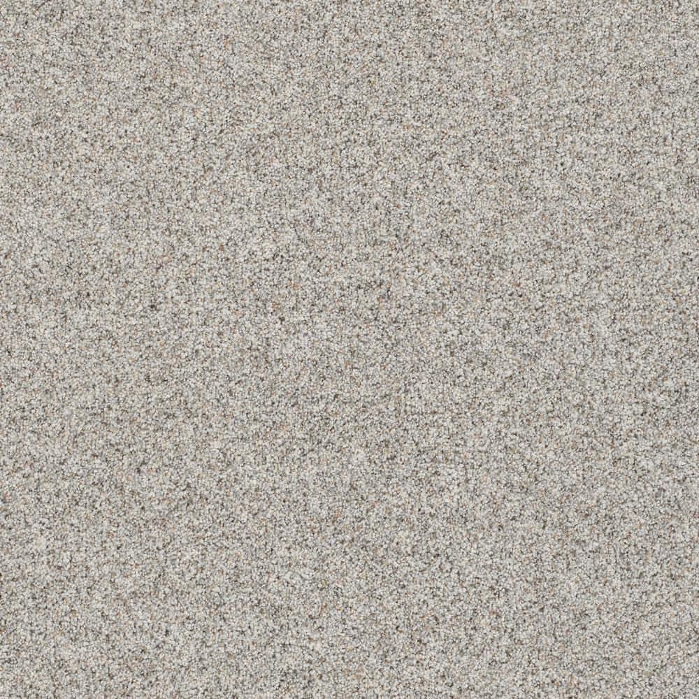 8 in. x 8 in. Texture Carpet Sample - Folklore I - Color August price history on PriceWatchPro