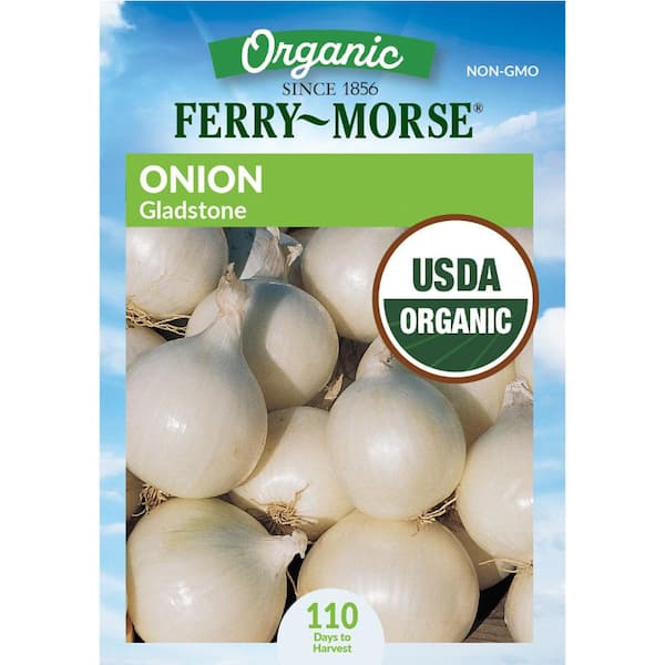 Organic Onion Gladstone Vegetable Seed
