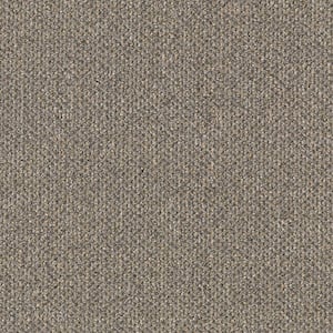 TrafficMaster 8 in. x 8 in. Loop Carpet Sample - Social Network I ...