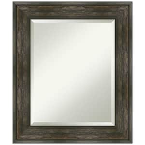 Rail Rustic Char 21.75 in. H x 25.75 in. W Framed Wall Mirror