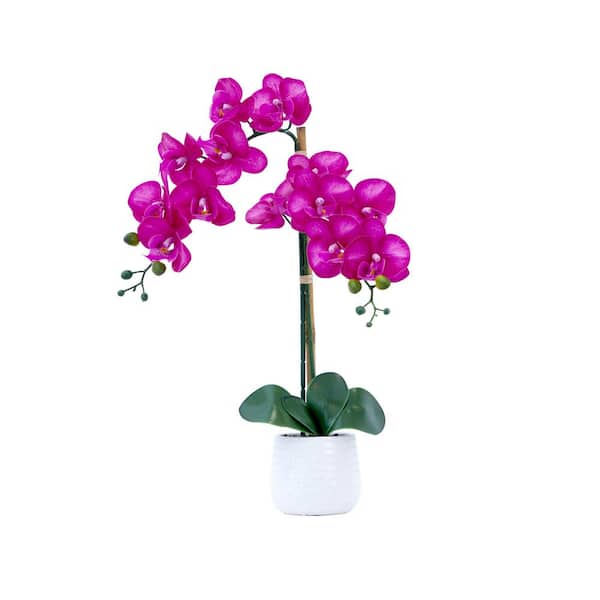 Nearly Natural 19 in. Pink Artificial Purple Orchid  Floral  Arrangement with Decorative Vase