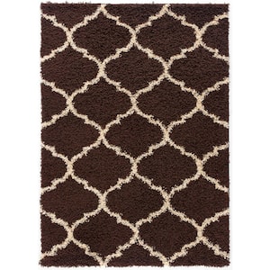 Anabelle Brown 4 ft. x 6 ft. Shag Area Rug