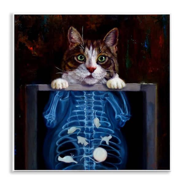 Funny Cat X-Ray Mice by Lucia Heffernan Unframed Graphic Art Print Animal 12 in. x 12 in.