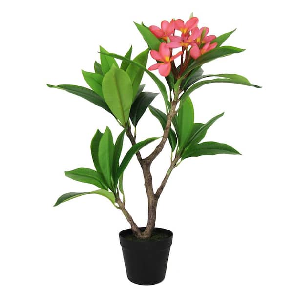 LIVING LUXURY 2.25 ft. Real Touch Fuchsia Artificial Plumeria Tree Tropical Plant in Pot